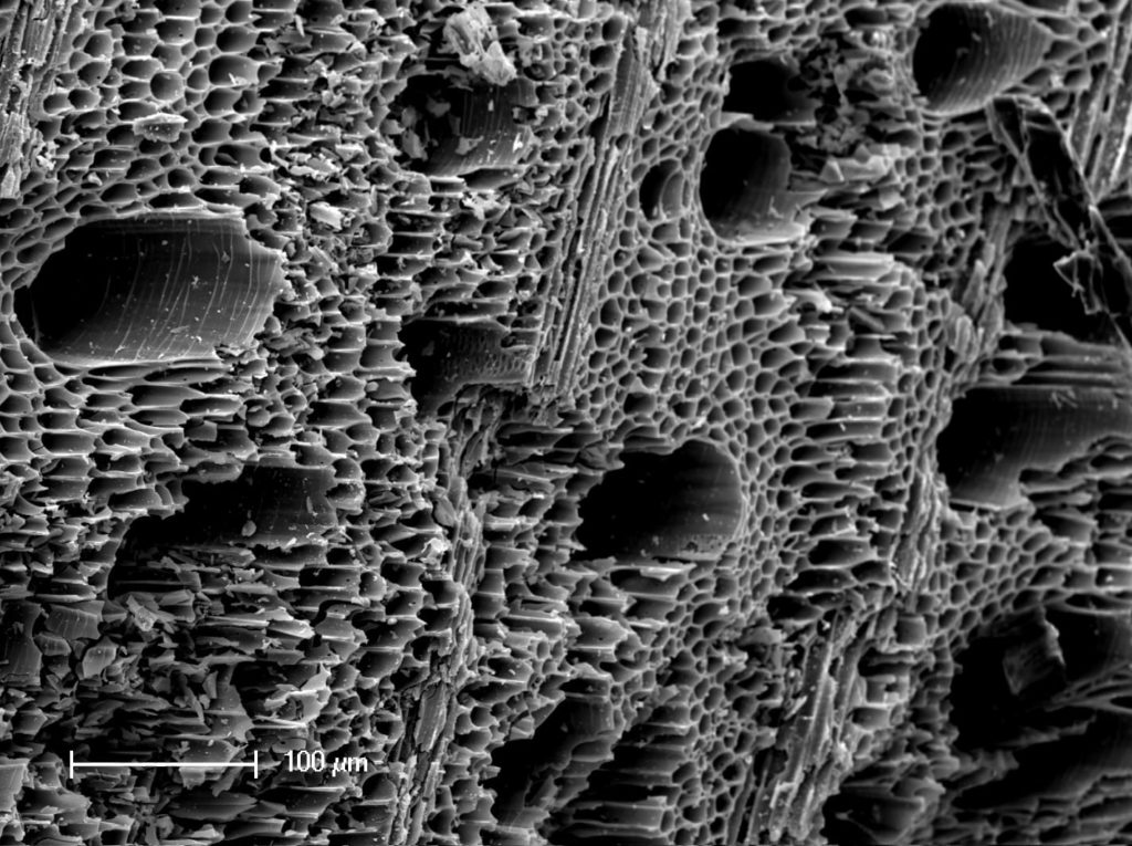 Electron-microscope-image-of-biochar-min-1024x765